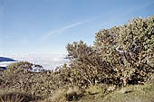 The Ajcanacu pass at 3739 m the last Andean pass that marks the entrance to the National Park of Manu 